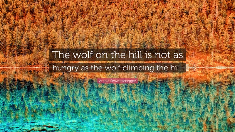 Arnold Schwarzenegger Quote: “The wolf on the hill is not as hungry as the wolf climbing the hill.”