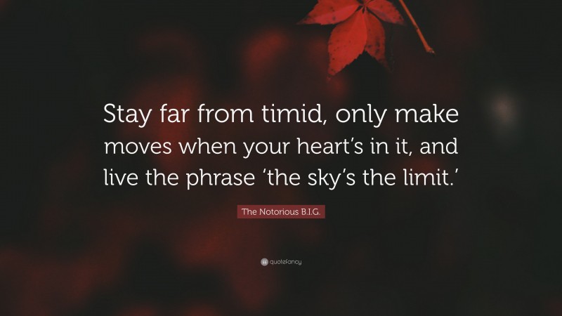 The Notorious B.I.G. Quote: “Stay far from timid, only make moves when your heart’s in it, and live the phrase ‘the sky’s the limit.’”