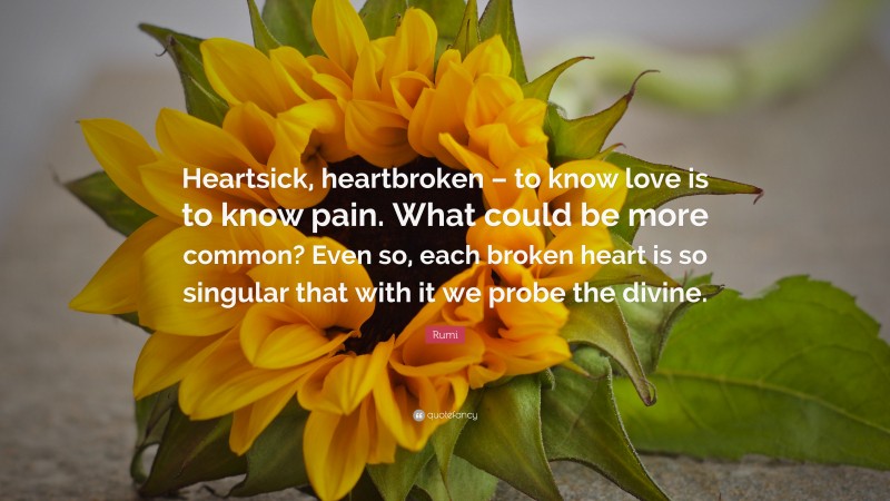 Rumi Quote: “Heartsick, heartbroken – to know love is to know pain. What could be more common? Even so, each broken heart is so singular that with it we probe the divine.”