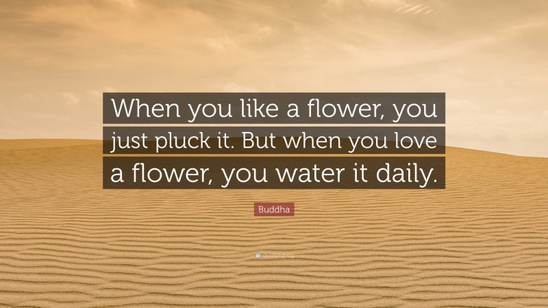Buddha Quote: “When you like a flower, you just pluck it. But when you love a flower, you water it daily.”
