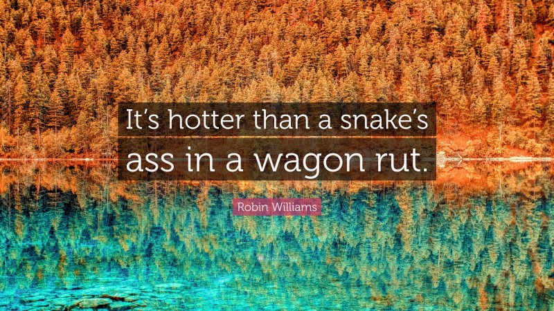 Robin Williams Quote: “It’s hotter than a snake’s ass in a wagon rut.”
