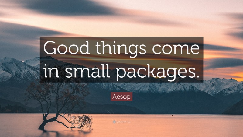 Aesop Quote: “Good things come in small packages.”