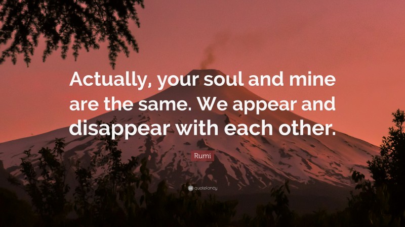 Rumi Quote: “Actually, your soul and mine are the same. We appear and disappear with each other.”