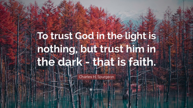 Charles H. Spurgeon Quote: “To trust God in the light is nothing, but trust him in the dark - that is faith.”