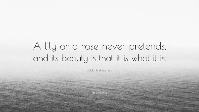 Jiddu Krishnamurti Quote: “A lily or a rose never pretends, and its beauty is that it is what it is.”