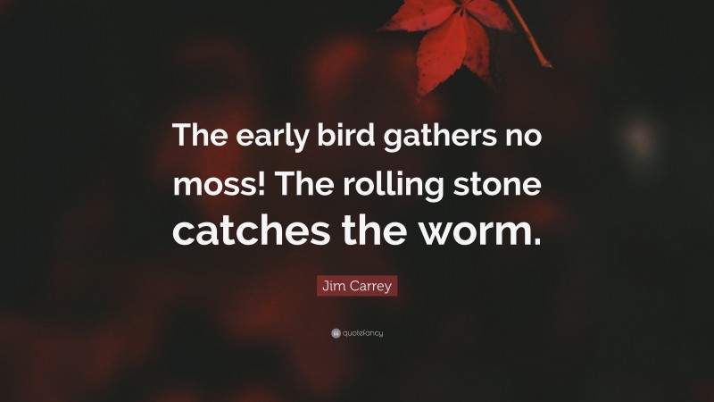 Jim Carrey Quote: “The early bird gathers no moss! The rolling stone catches the worm.”