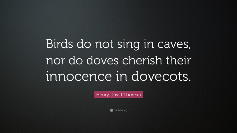 Henry David Thoreau Quote: “Birds do not sing in caves, nor do doves cherish their innocence in dovecots.”