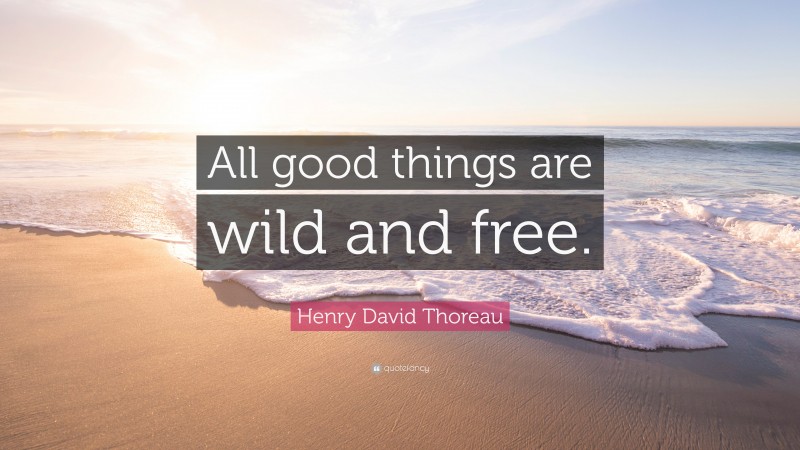 Henry David Thoreau Quote: “All good things are wild and free.”