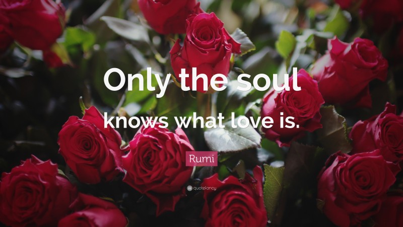 Rumi Quote: “Only the soul knows what love is.”