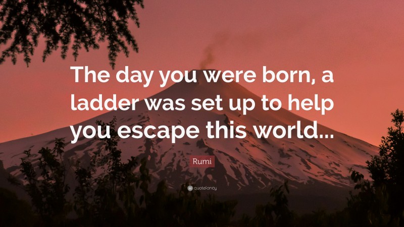 Rumi Quote: “The day you were born, a ladder was set up to help you escape this world...”