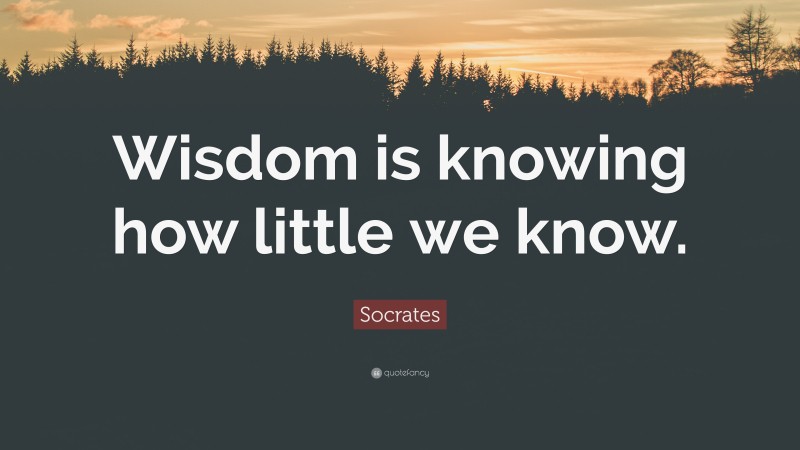 Socrates Quote: “Wisdom is knowing how little we know.”