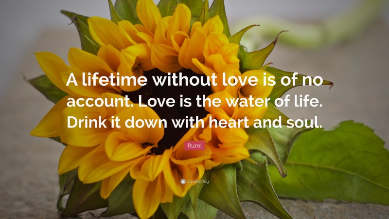 Rumi Quote: “A lifetime without love is of no account. Love is the water of life. Drink it down with heart and soul.”
