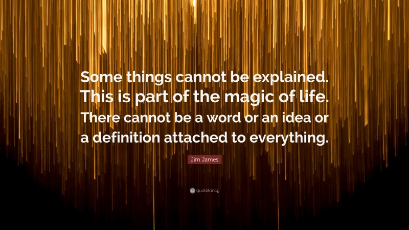 Jim James Quote: “Some things cannot be explained. This is part of the magic of life. There cannot be a word or an idea or a definition attached to everything.”