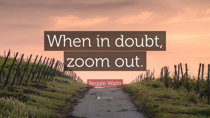 Reggie Watts Quote: “When in doubt, zoom out.”