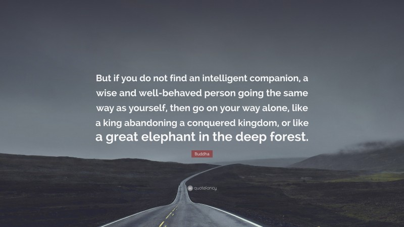 Buddha Quote: “But if you do not find an intelligent companion, a wise and well-behaved person going the same way as yourself, then go on your way alone, like a king abandoning a conquered kingdom, or like a great elephant in the deep forest.”