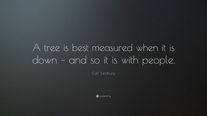Carl Sandburg Quote: “A tree is best measured when it is down – and so it is with people.”