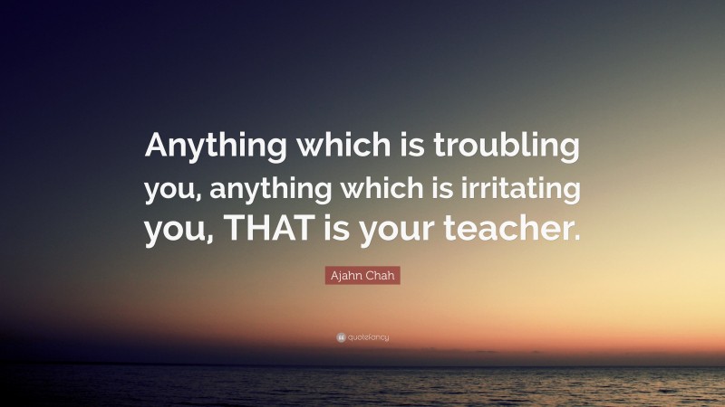 Ajahn Chah Quote: “Anything which is troubling you, anything which is irritating you, THAT is your teacher.”