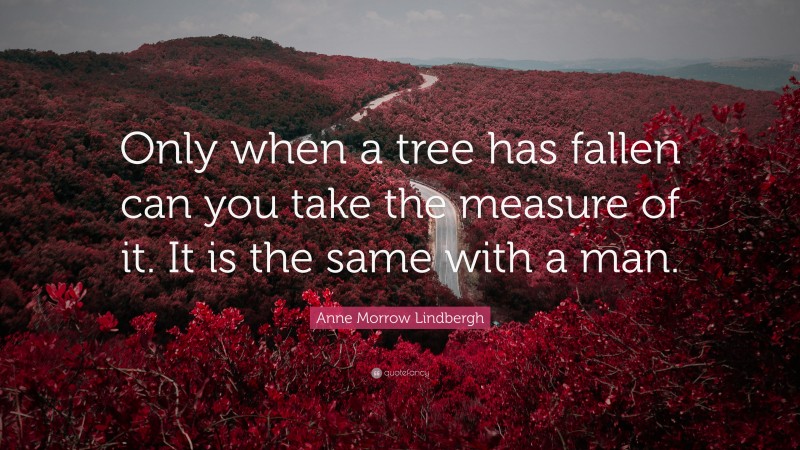 Anne Morrow Lindbergh Quote: “Only when a tree has fallen can you take the measure of it. It is the same with a man.”