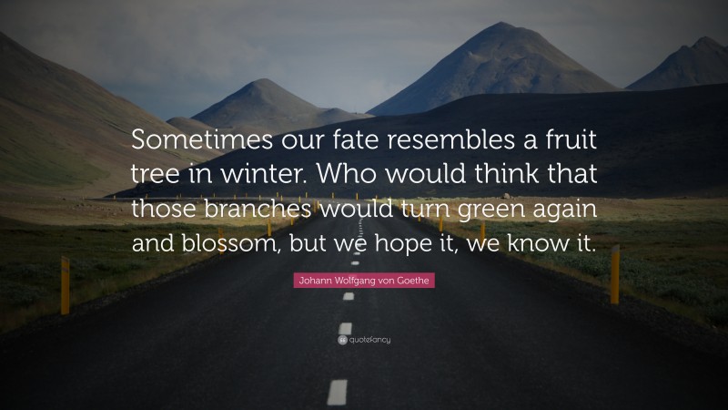 Johann Wolfgang von Goethe Quote: “Sometimes our fate resembles a fruit tree in winter. Who would think that those branches would turn green again and blossom, but we hope it, we know it.”