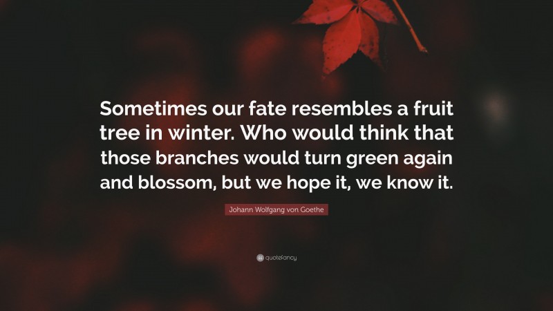 Johann Wolfgang von Goethe Quote: “Sometimes our fate resembles a fruit tree in winter. Who would think that those branches would turn green again and blossom, but we hope it, we know it.”