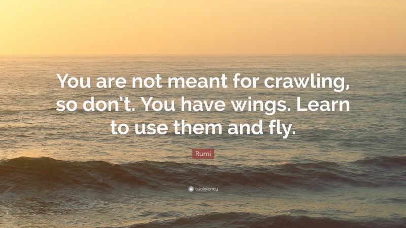 Rumi Quote: “You are not meant for crawling, so don’t. You have wings. Learn to use them and fly.”