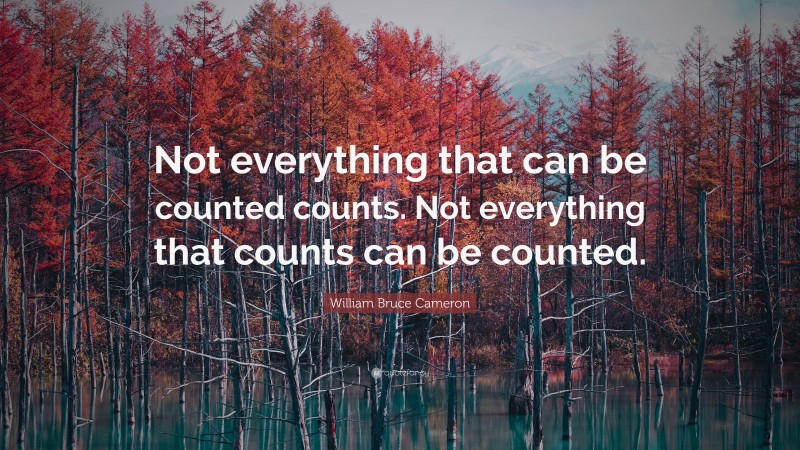 William Bruce Cameron Quote: “Not everything that can be counted counts. Not everything that counts can be counted.”