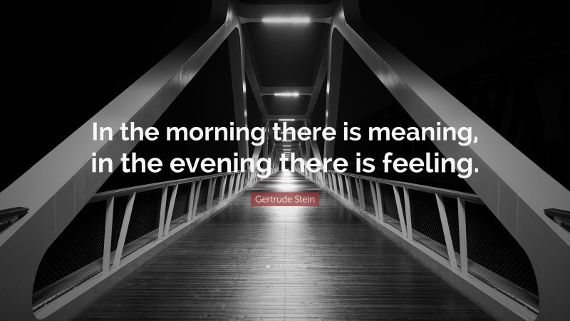 Gertrude Stein Quote: “In the morning there is meaning, in the evening there is feeling.”