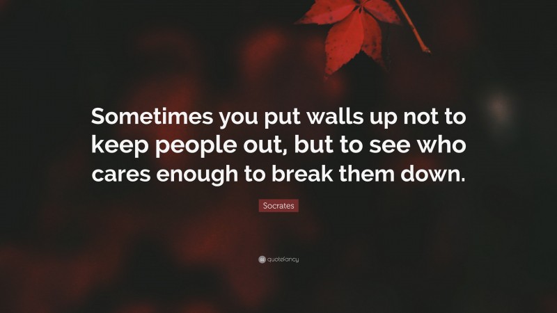 Socrates Quote: “Sometimes you put walls up not to keep people out, but to see who cares enough to break them down.”