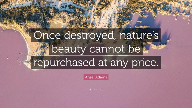 Ansel Adams Quote: “Once destroyed, nature’s beauty cannot be repurchased at any price.”