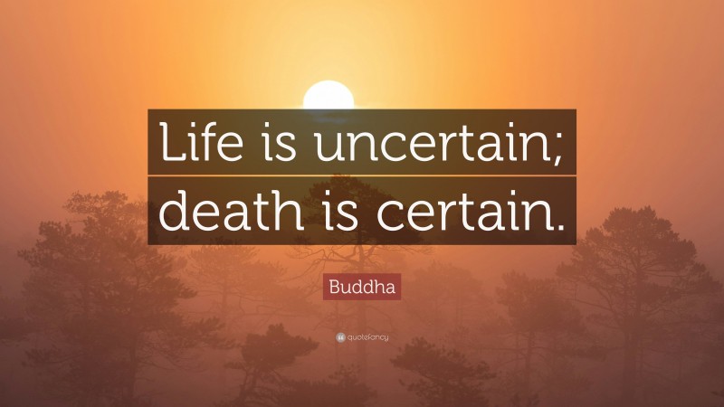 Buddha Quote: “Life is uncertain; death is certain.”