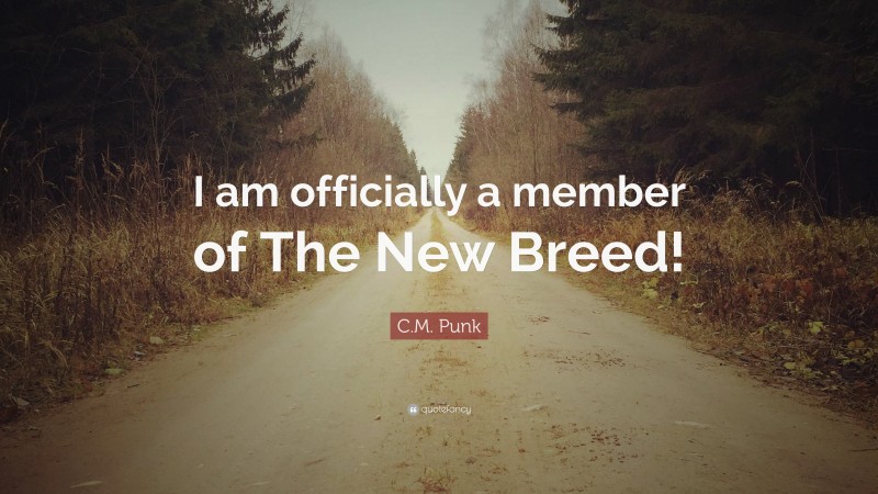 C.M. Punk Quote: “I am officially a member of The New Breed!”