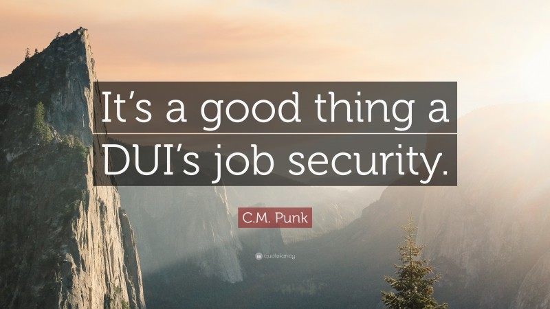 C.M. Punk Quote: “It’s a good thing a DUI’s job security.”