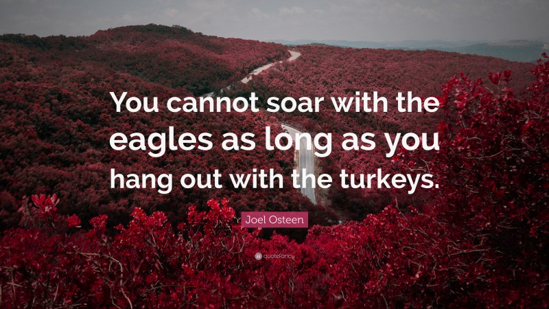 Joel Osteen Quote: “You cannot soar with the eagles as long as you hang out with the turkeys.”