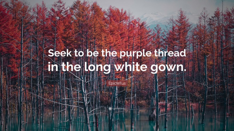 Epictetus Quote: “Seek to be the purple thread in the long white gown.”