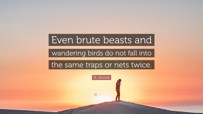 St. Jerome Quote: “Even brute beasts and wandering birds do not fall into the same traps or nets twice.”
