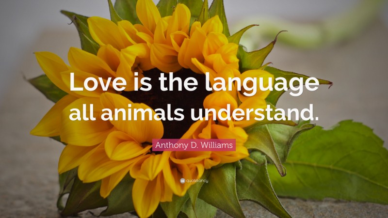 Anthony D. Williams Quote: “Love is the language all animals understand.”