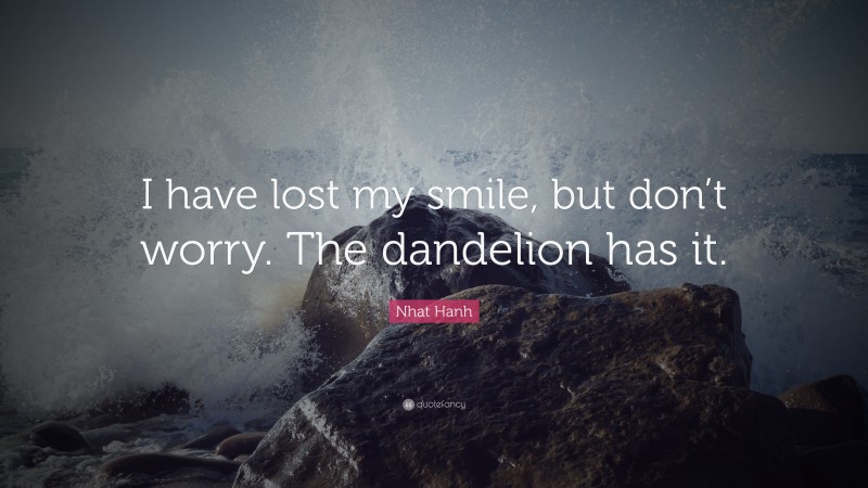 Nhat Hanh Quote: “I have lost my smile, but don’t worry. The dandelion has it.”