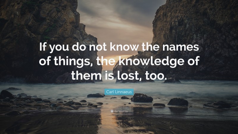 Carl Linnaeus Quote: “If you do not know the names of things, the knowledge of them is lost, too.”