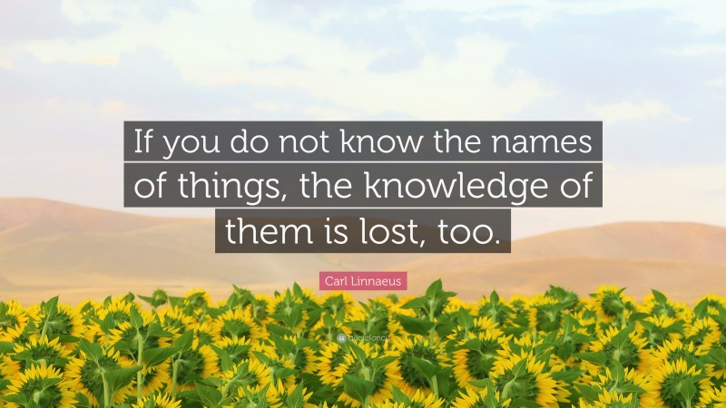 Carl Linnaeus Quote: “If you do not know the names of things, the knowledge of them is lost, too.”