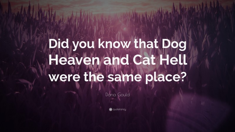 Dana Gould Quote: “Did you know that Dog Heaven and Cat Hell were the same place?”