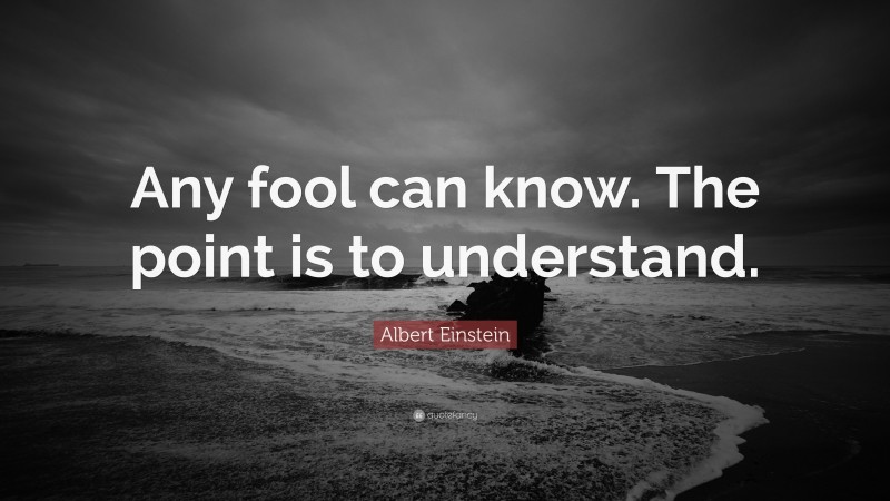 Albert Einstein Quote: “Any fool can know. The point is to understand.”