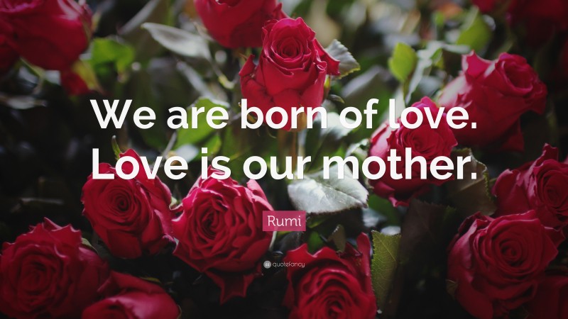 Rumi Quote: “We are born of love. Love is our mother.”