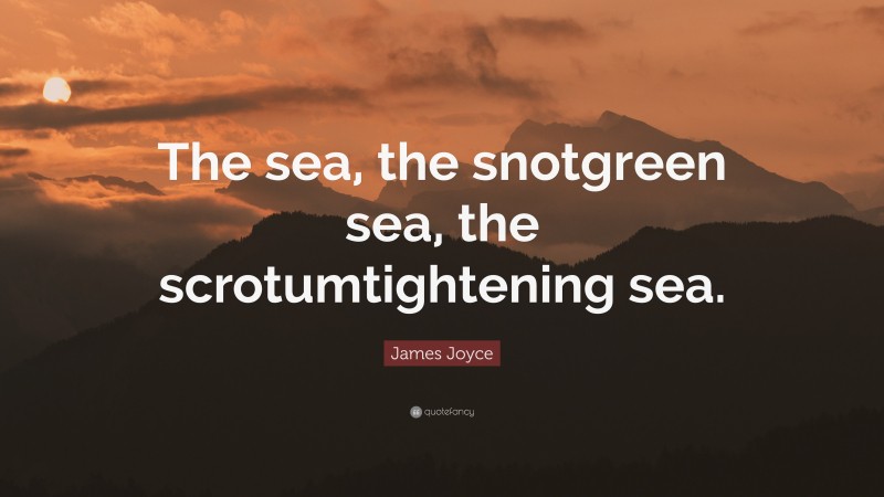 James Joyce Quote: “The sea, the snotgreen sea, the scrotumtightening sea.”