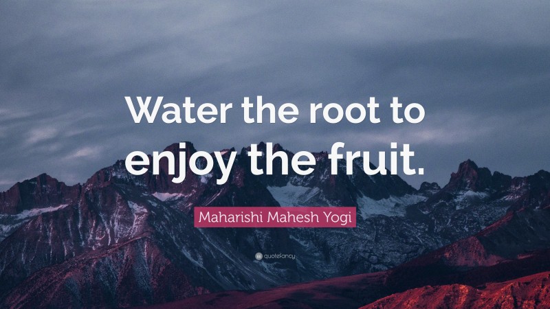 Maharishi Mahesh Yogi Quote: “Water the root to enjoy the fruit.”