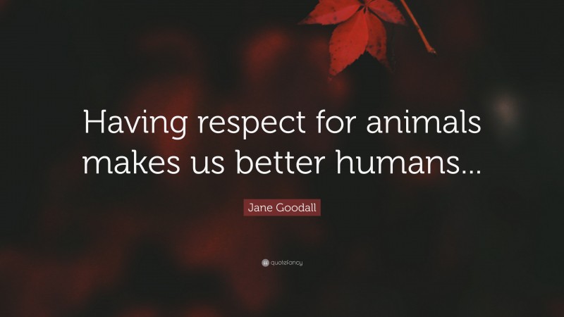 Jane Goodall Quote: “Having respect for animals makes us better humans...”