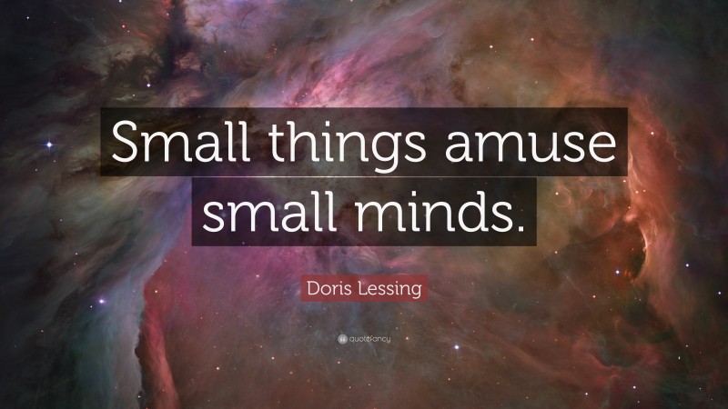 Doris Lessing Quote: “Small things amuse small minds.”