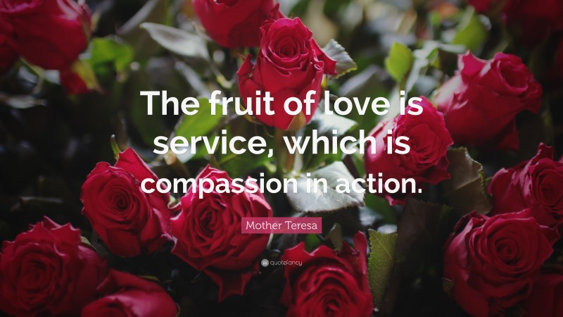 Mother Teresa Quote: “The fruit of love is service, which is compassion in action.”