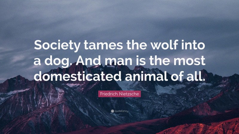 Friedrich Nietzsche Quote: “Society tames the wolf into a dog. And man is the most domesticated animal of all.”