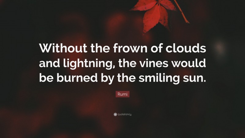 Rumi Quote: “Without the frown of clouds and lightning, the vines would be burned by the smiling sun.”