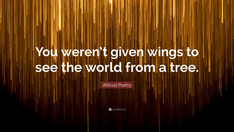 Atticus Poetry Quote: “You weren’t given wings to see the world from a tree.”